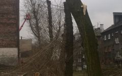 WP_20171218_14_16_24_Pro