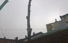 WP_20171219_12_50_44_Pro