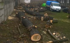 WP_20171222_12_18_21_Pro